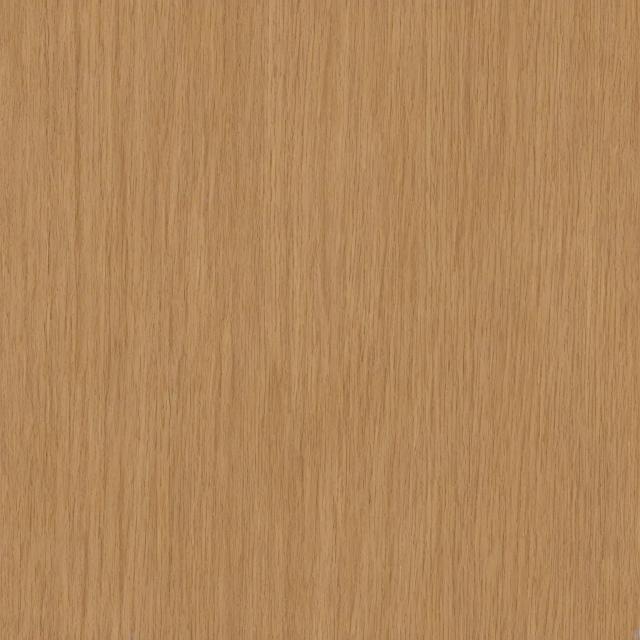 Random Animal 12