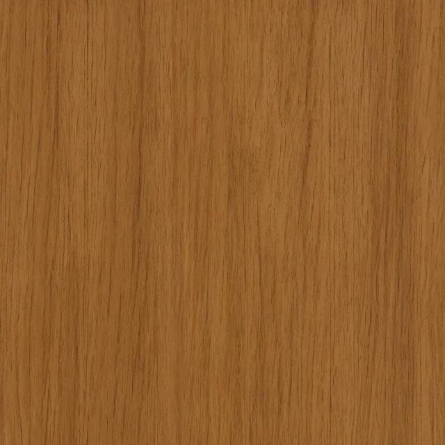 Random Animal 14