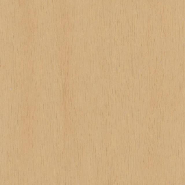 Random Animal 11